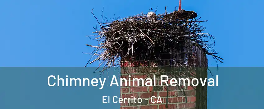  Chimney Animal Removal El Cerrito - CA