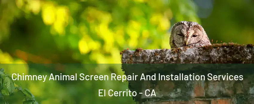  Chimney Animal Screen Repair And Installation Services El Cerrito - CA