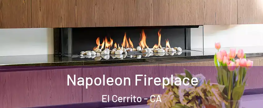  Napoleon Fireplace El Cerrito - CA